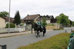 Gross-IMG_9690