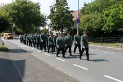 Vogel_045