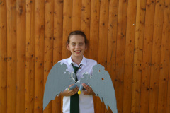 Vogel_171
