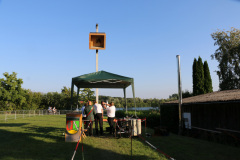 Vogel_251