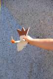 vogelschiessent-276